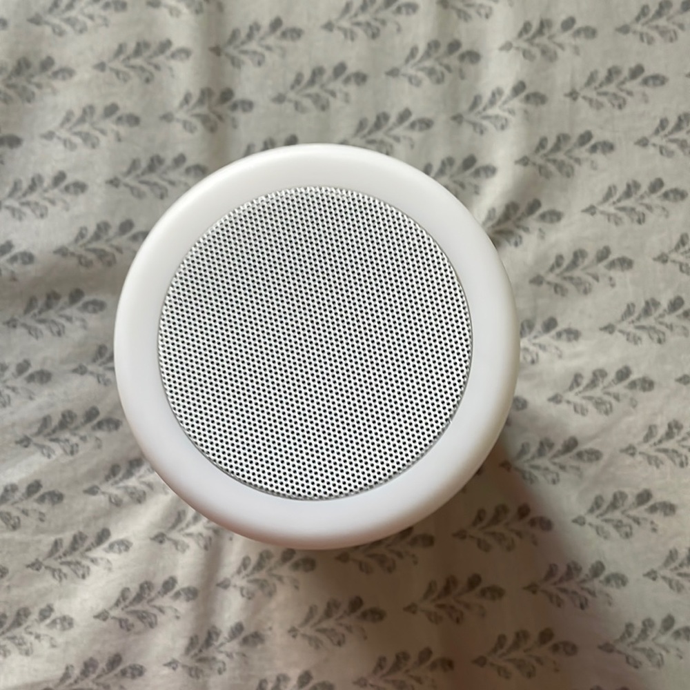 Speaker